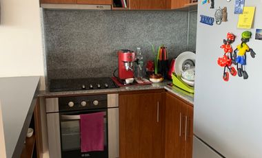 Arrendamos depto amoblado con vista frontal al mar.