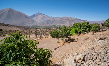 Venta de hermosa parcela con gran casa, agua de riego, frutales y piscina. Sector Mamalluca, Vicuña. $152 millones
