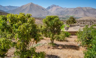 Venta de hermosa parcela con gran casa, agua de riego, frutales y piscina. Sector Mamalluca, Vicuña. $152 millones