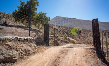 Venta de hermosa parcela con gran casa, agua de riego, frutales y piscina. Sector Mamalluca, Vicuña. $152 millones