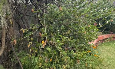 Vendo Casa Puente Alto Luis Matte Larrain Metro Protectora de la Infancia 3D2B 368m2 terreno