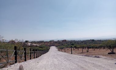 VENTA DE TERRENO EN PEÑA DE BERNAL, QRO. VT52