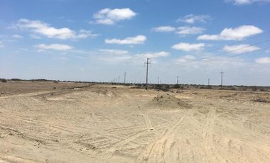 Venta terreno TITULADO industrial Carretera Paita Sullana, excelente ubicación
