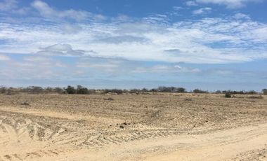 Venta terreno TITULADO industrial Carretera Paita Sullana, excelente ubicación