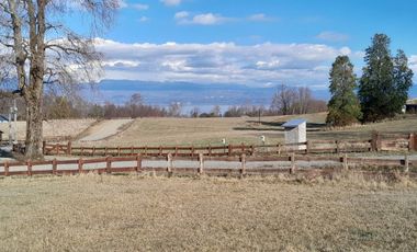 Parcelas al norte del lago Villarrica, en futura carretera a Pucón