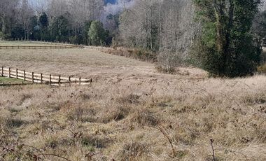 Parcelas al norte del lago Villarrica, en futura carretera a Pucón