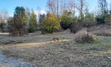 Parcelas al norte del lago Villarrica, en futura carretera a Pucón