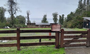 Parcelas al norte del lago Villarrica, en futura carretera a Pucón