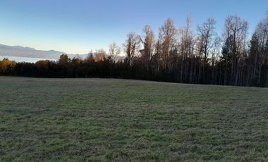 Parcelas al norte del lago Villarrica, en futura carretera a Pucón