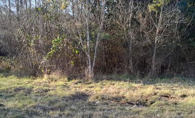 Parcelas al norte del lago Villarrica, en futura carretera a Pucón