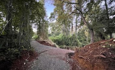 Parcelas al norte del lago Villarrica, en futura carretera a Pucón