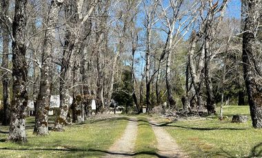 Parcelas al norte del lago Villarrica, en futura carretera a Pucón