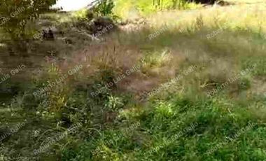 Vendo finca como lote en el municipio de san vicente .