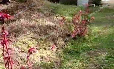 Vendo finca como lote en el municipio de san vicente .