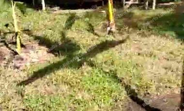 Vendo finca como lote en el municipio de san vicente .