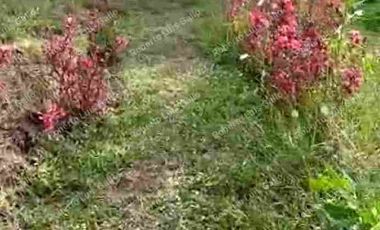 Vendo finca como lote en el municipio de san vicente .