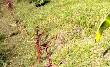 Vendo finca como lote en el municipio de san vicente .