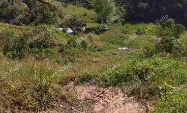 Vendo finca como lote en el municipio de san vicente .