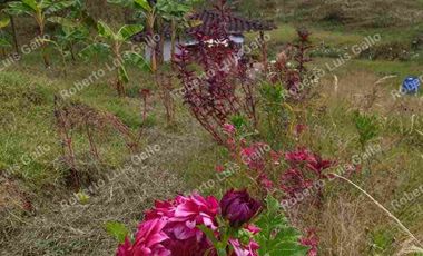 Vendo finca como lote en el municipio de san vicente .