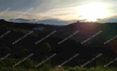 Vendo finca como lote en el municipio de san vicente .
