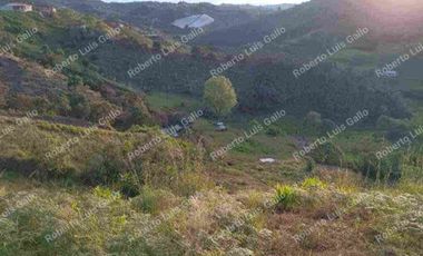 Vendo finca como lote en el municipio de san vicente .
