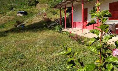 Vendo finca como lote en el municipio de san vicente .