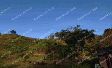 Vendo finca como lote en el municipio de san vicente .