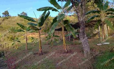 Vendo finca como lote en el municipio de san vicente .