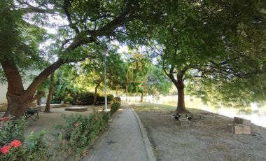 APARTAMENTO 2 HABITACIONES EN ALQUILER PRIMER PISO CON JARDIN LAGUNA CLUB