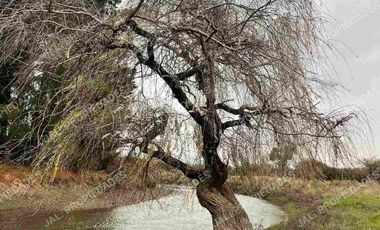 OPORTUNIDAD UNICA EN ÑIQUEN🏡🙏💖