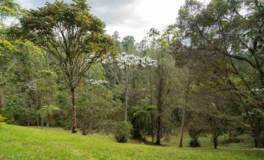 Venta de casa en El Retiro, sector vía La Fé El Retiro