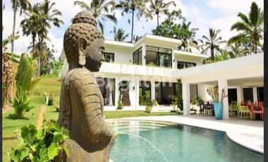 VILLA CANTIK ASRI & TENANG DGN VIEW LEMABH DAN KEBUN DI SEBATU TEGALLALANG UBUD GIANYAR (MTRE)