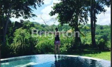 VILLA CANTIK ASRI & TENANG DGN VIEW LEMABH DAN KEBUN DI SEBATU TEGALLALANG UBUD GIANYAR (MTRE)