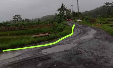 Sawah Murah Hook 2 muka di Sendangsari Sleman