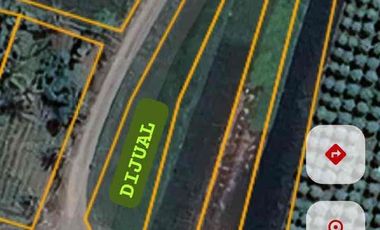 Sawah Murah Hook 2 muka di Sendangsari Sleman