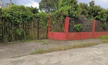 800 sqm Lot in Bgy. Bukal, Mendez Cavite for SALE! TITLED at 7M net