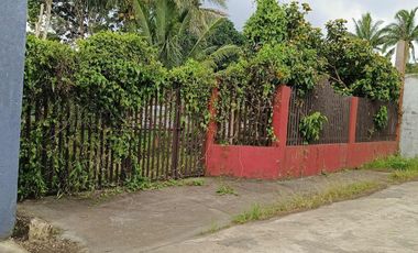 800 sqm Lot in Bgy. Bukal, Mendez Cavite for SALE! TITLED at 7M net