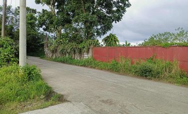 800 sqm Lot in Bgy. Bukal, Mendez Cavite for SALE! TITLED at 7M net