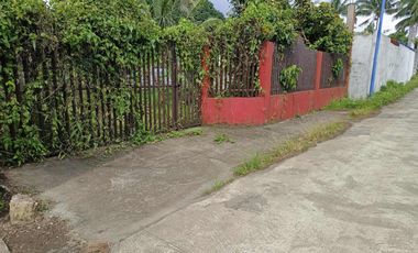 800 sqm Lot in Bgy. Bukal, Mendez Cavite for SALE! TITLED at 7M net