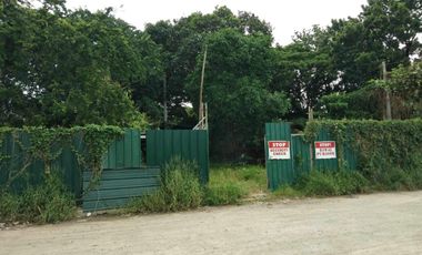 2,598sqm Lot for Sale and Lease at C5 Extension Road, Paranaque City