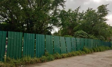 2,598sqm Lot for Sale and Lease at C5 Extension Road, Paranaque City