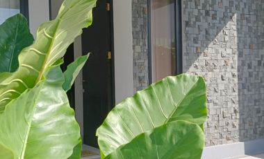 Rumah murah Barat Gedangan Sidoarjo