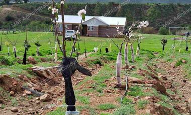 Venta de Parcela en Ovalle 5000 m2