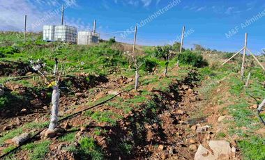 Venta de Parcela en Ovalle 5000 m2
