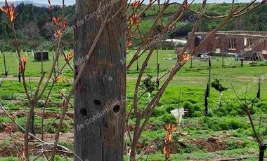 Venta de Parcela en Ovalle 5000 m2