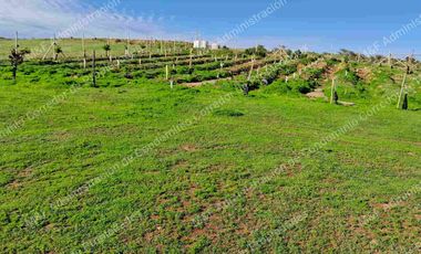 Venta de Parcela en Ovalle 5000 m2