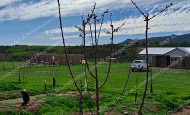 Venta de Parcela en Ovalle 5000 m2