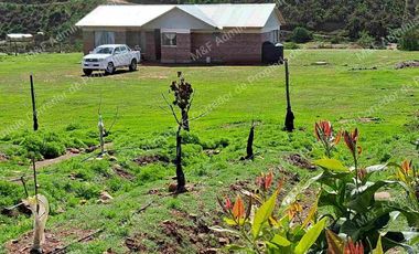 Venta de Parcela en Ovalle 5000 m2