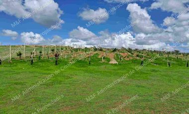 Venta de Parcela en Ovalle 5000 m2