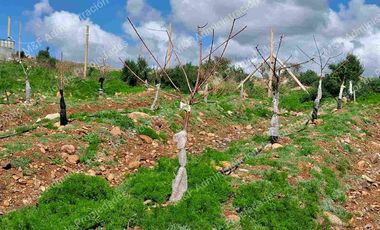 Venta de Parcela en Ovalle 5000 m2